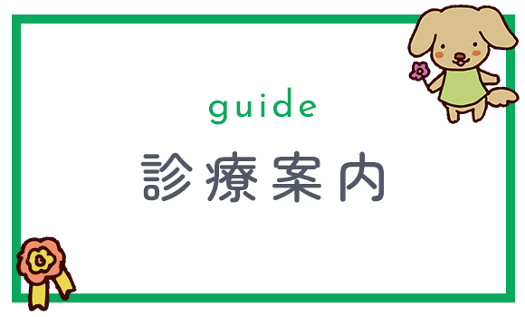 診療案内